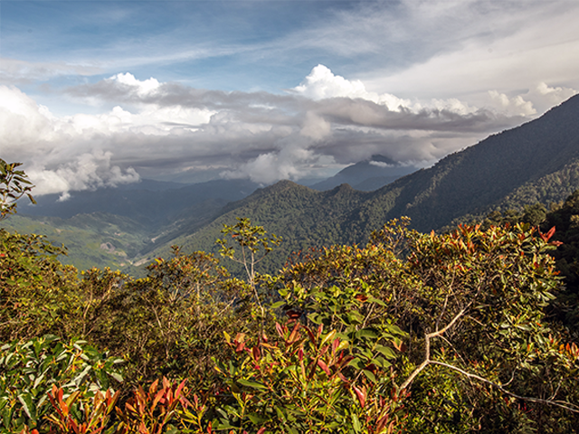 Mount Kinabalu by Rubythroat Tours